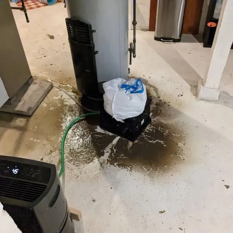 Sewage Backup Cleanup Service in Alexandria, KY